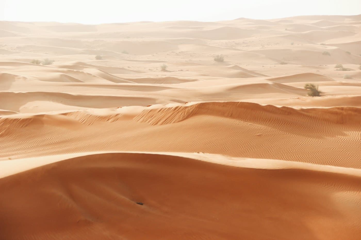 Golden sand dunes in the Dubai desert